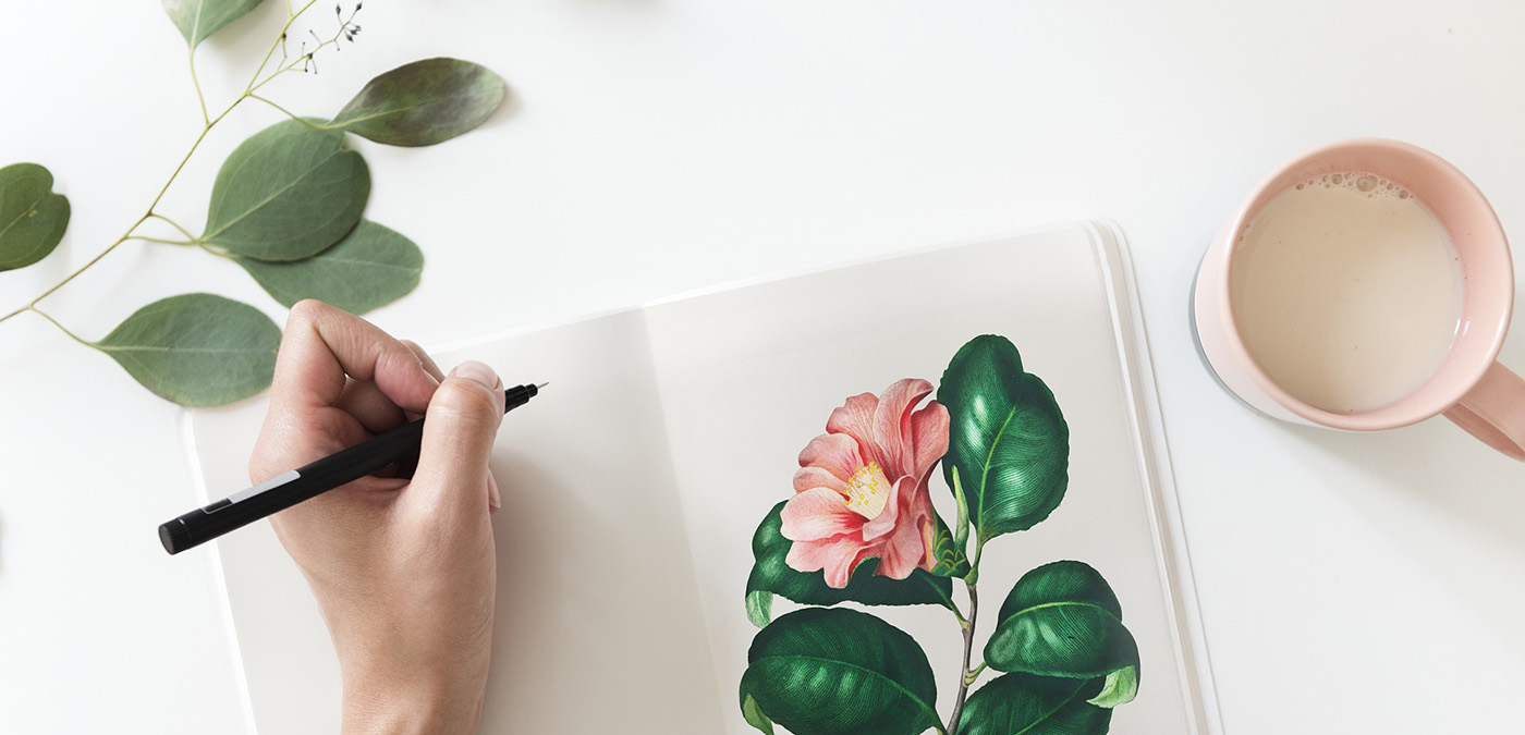 ФУКСИЯ DARK EYES sazhentcy.ru